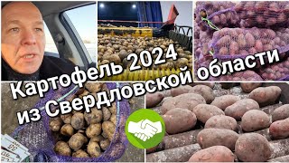 8 января 2024 г. Информация по текущим сортам и качеству картофеля из Свердловской области