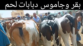 لو حتضحي أشتري نتايه مش لازم عجل اتفرجو علي جمال الاسعار بسوق البرين ٢٠/ ٥/ ٢٠٢٦م