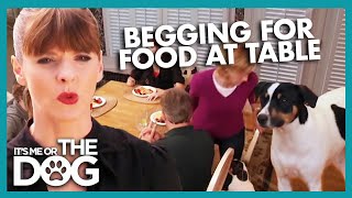 Body Block: How To Stop Dogs Begging At The Table | It's Me or The Dog