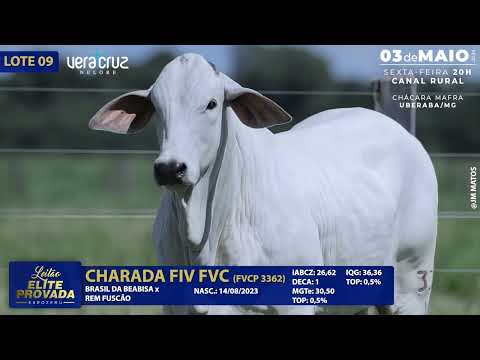 LOTE 09   FVCP 3362