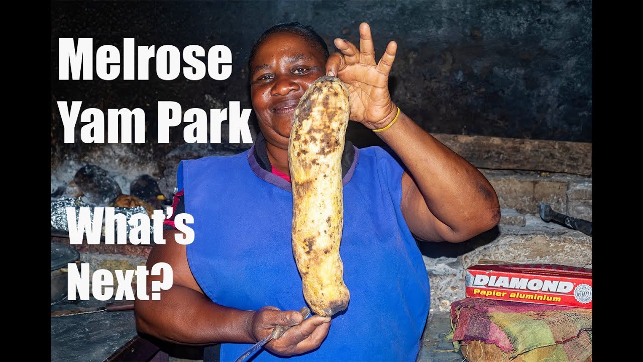 Melrose Yam Park, What's Next?       