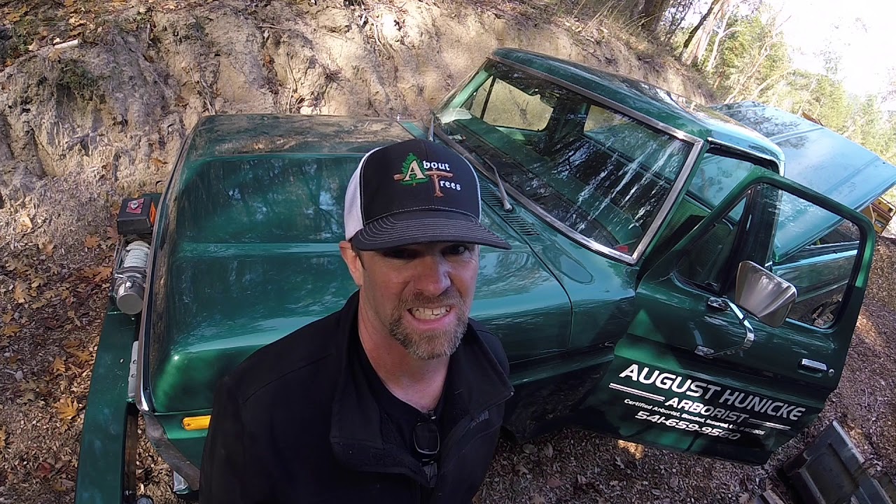 felling a tree with WARN winch power - YouTube
