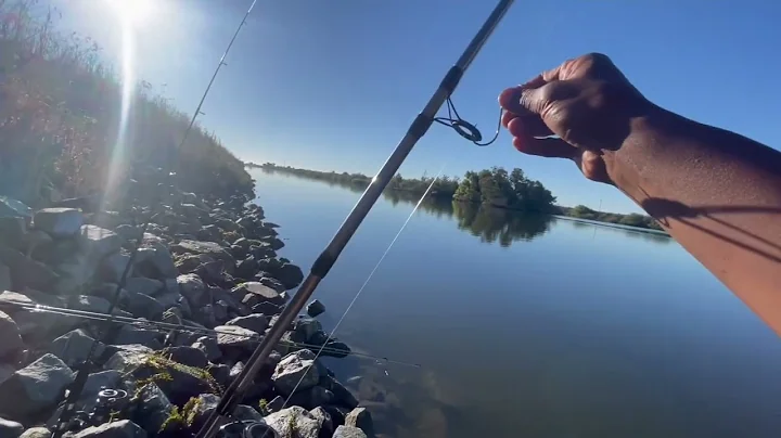 Bank fishing @Tracy 7-10-2022