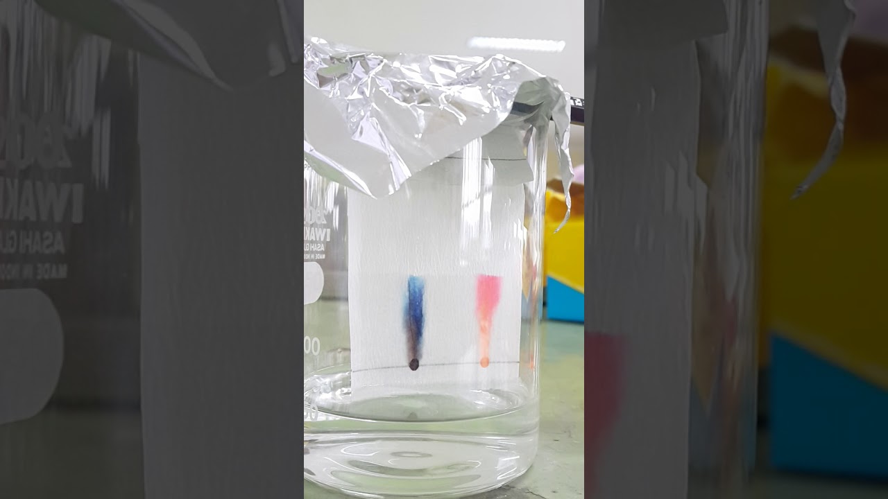 Paper Chromatography using Alcohol as Eluent (1) YouTube