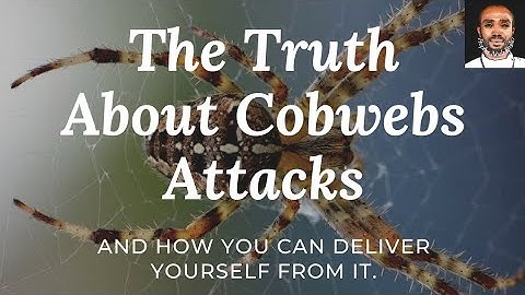 How you can Deliver yourself from Cobwebs Attacks.