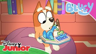 📚 Βιβλιοθήκη | Μπλούι | Disney Junior Ελλάδα