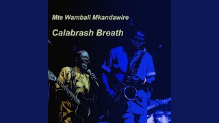 The Vineyards of Bodeaux