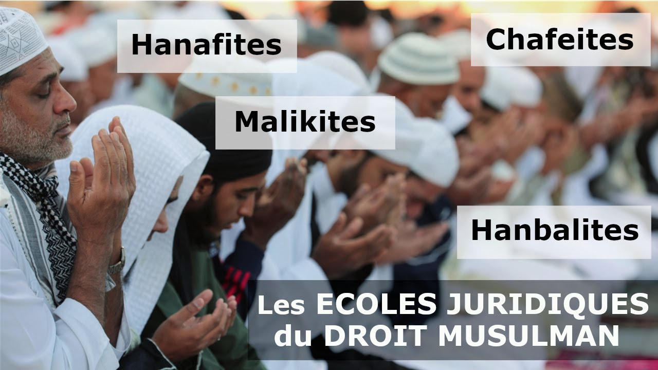 Charia et droit islamique : Les 4 écoles juridiques de l'islam (sunnite