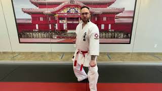 Kihon Kata #2