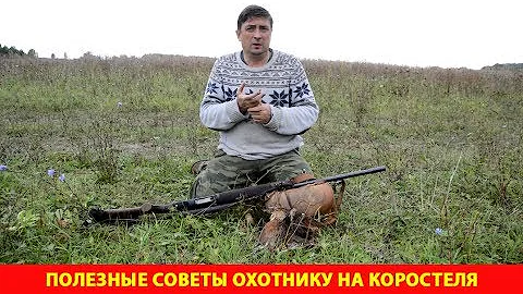 Полезные советы охотнику на коростеля