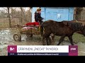 CĂRPINENI, „ÎNECAT” ÎN NOROI Al doilea sat ca mărime din Moldova se bălăcește în mocirlă