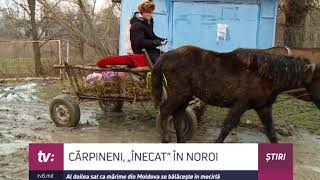 CĂRPINENI, „ÎNECAT” ÎN NOROI Al doilea sat ca mărime din Moldova se bălăcește în mocirlă