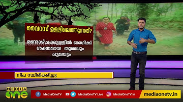 നിപ പകരുന്നതെങ്ങനെ?  | Nipah virus