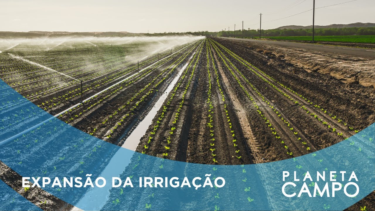 Como a irrigação pode transformar a agricultura no Mato Grosso | Planeta Campo