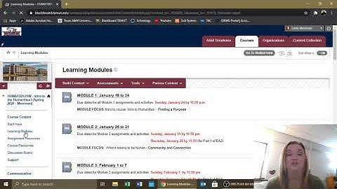 Navigating the Course - HUMA 1301