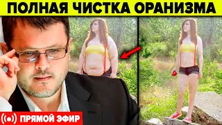 Правильная Коррекция Питания И Детокс . Дмитрий Соин