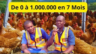 De 0 à 1 000 000 en Elevage des POULES PONDEUSES au Congo