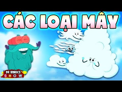 Video: Các loại mây: chúng là gì?