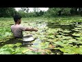 Best Hook Fishing Video - Traditional Hook Fishing - Village Daily Life (Patr-209)