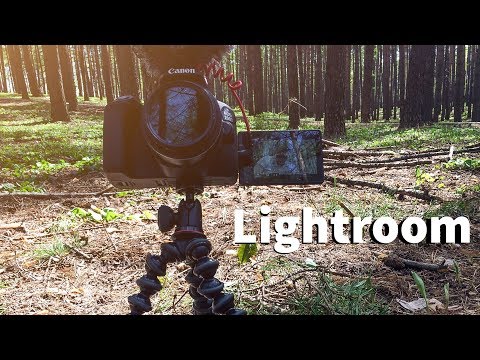 Полевые условия и Adobe Lightroom CC