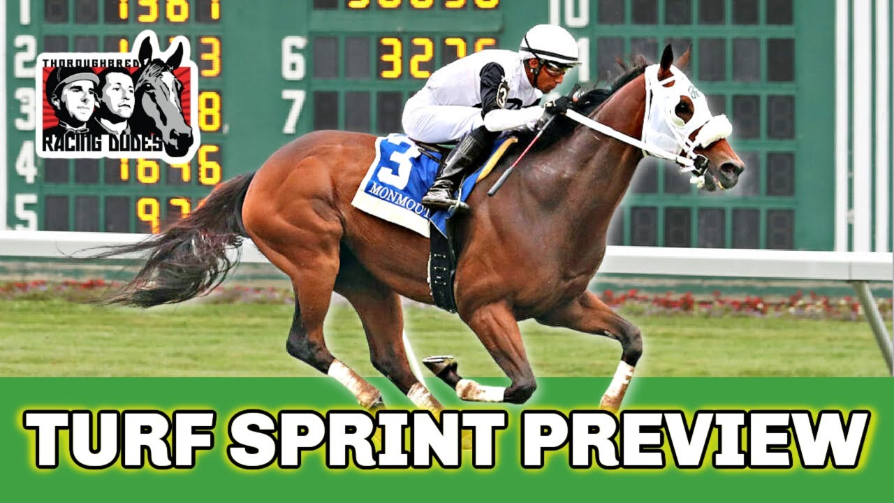 2023 Gulfstream Turf Sprint Stakes Preview & FREE Picks | BELGRANO ...