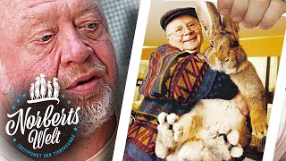 Sind Deutsche Riesen Hasen oder Kaninchen?