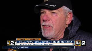 Trees, Power lines topple throughout area