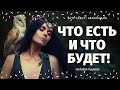 ЧТО В ВАШЕЙ ЖИЗНИ СЕЙЧАС ПРОИСХОДИТ? ЧТО СПЕШИТ В ВАШУ ЖИЗНЬ?  расклад на судьбу/что по судьбе