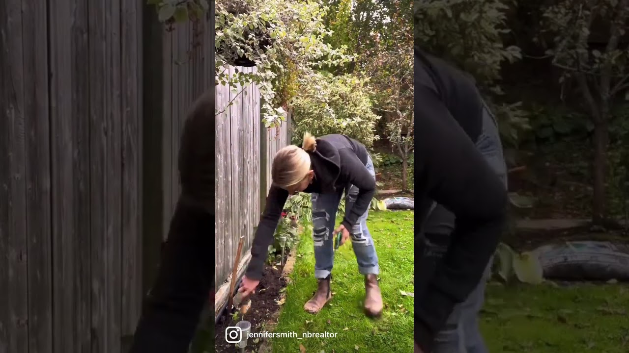 FALL YARD CLEAN UP TIPS