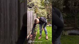 FALL YARD CLEAN UP TIPS