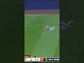 Was this a CATCH or NOT?