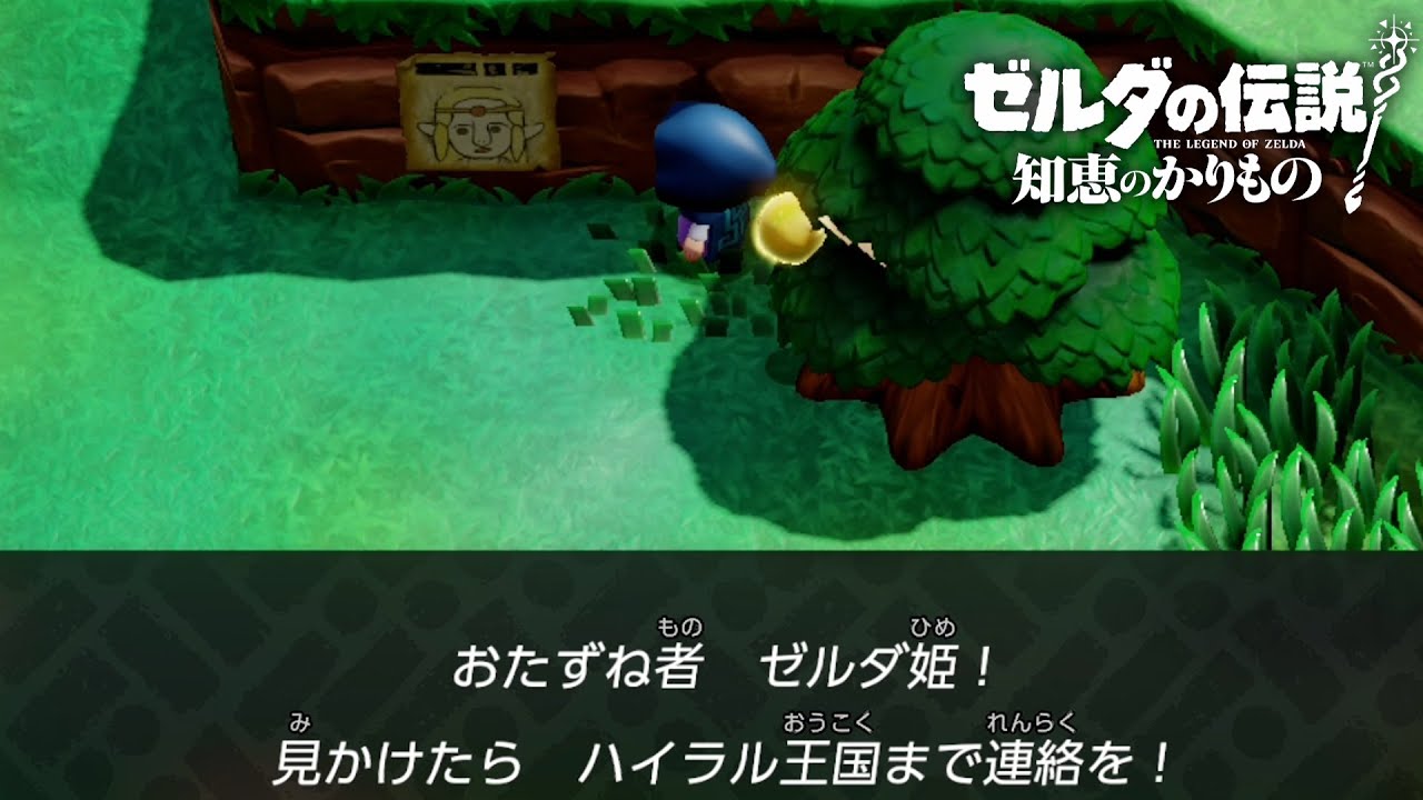 見つかることなさそう【ゼルダの伝説 知恵のかりもの】#5