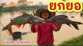 ยกยอ บ่อเหมาอ้ายเพรช ►Fishing lifestyle Ep.717