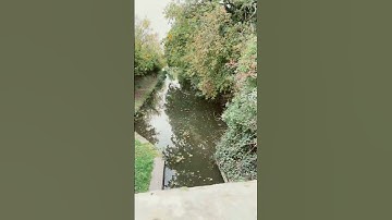 Brug met uitzicht op de kanalen, prachtig ￼