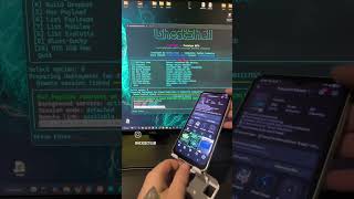 kali linux