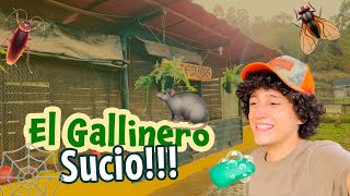 Limpiando el gallinero...todo esto pasa! | La Granja del Borrego