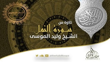 تلاوة عذبة للقارئ وليد الموسى ماتيسر من سورة النمل
