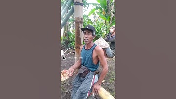 wangsalan boso osing
