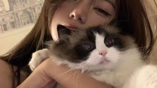 Love Potionaşk Subyaptığım En Güçlü Sub Olabilir