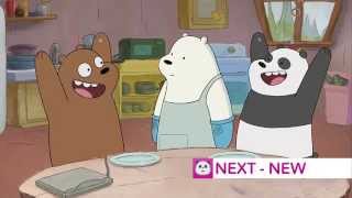 Cn 4.0 Nextlater New We Bare Bears More We Bare Bears