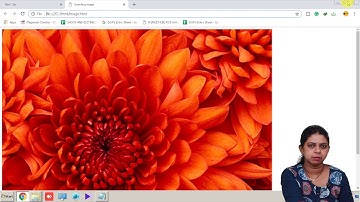 Inserting A Image Into Page Image Tag - HTML - Computer Science Class 12