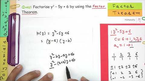 Example 9 Chapter 2 Class 9 | Polynomials | Factorise using Factor Theorem Questions |NCERT Maths