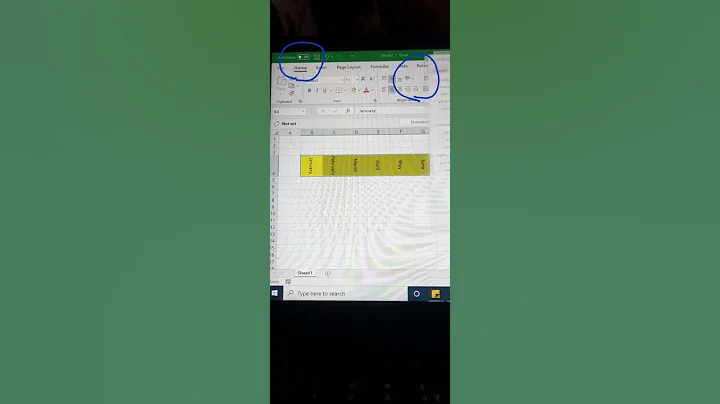 Alignment Text or Numbers in Excel