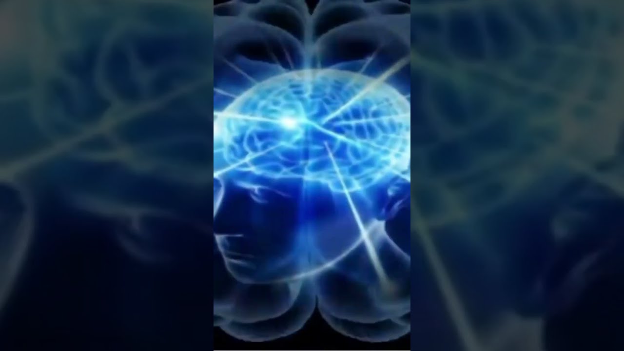 Stupid Facts Brain Meme Part 1 