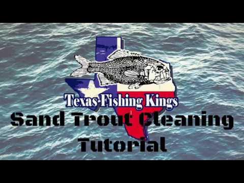Texas Fishing Kings - How To Clean A Sand Trout - Sand Trout Cleaning  Tutorial 