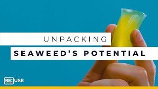 Eliminating Plastic Waste With Seaweed Packaging | Notpla | RE:TV