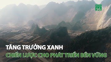 Tăng trưởng xanh - Chiến lược cho phát triển bền vững | VTC14