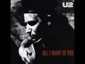U2 - All I Want Is You (1989)