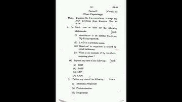 LSE - 05 DECEMBER 2020 QUESTION PAPER