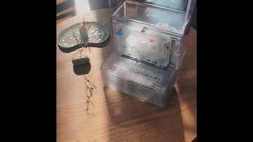 NINM lab - IT’S REAL Bluetooth Speaker + Cassette Player